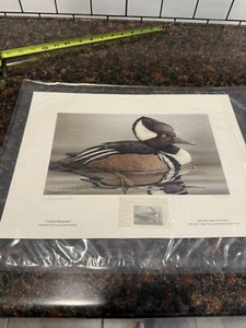 Estampilla de caza de aves migratorias 1998 $10 con capucha Merganser PATO firmada impresión enmarcada - Imagen 1 de 8