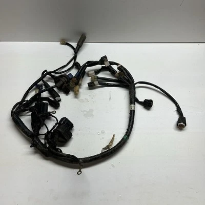 14 - 17 YAMAHA YZ250F YZ 250 F ARNÉS DE CABLEADO TELAR OEM Foto 1 de 4