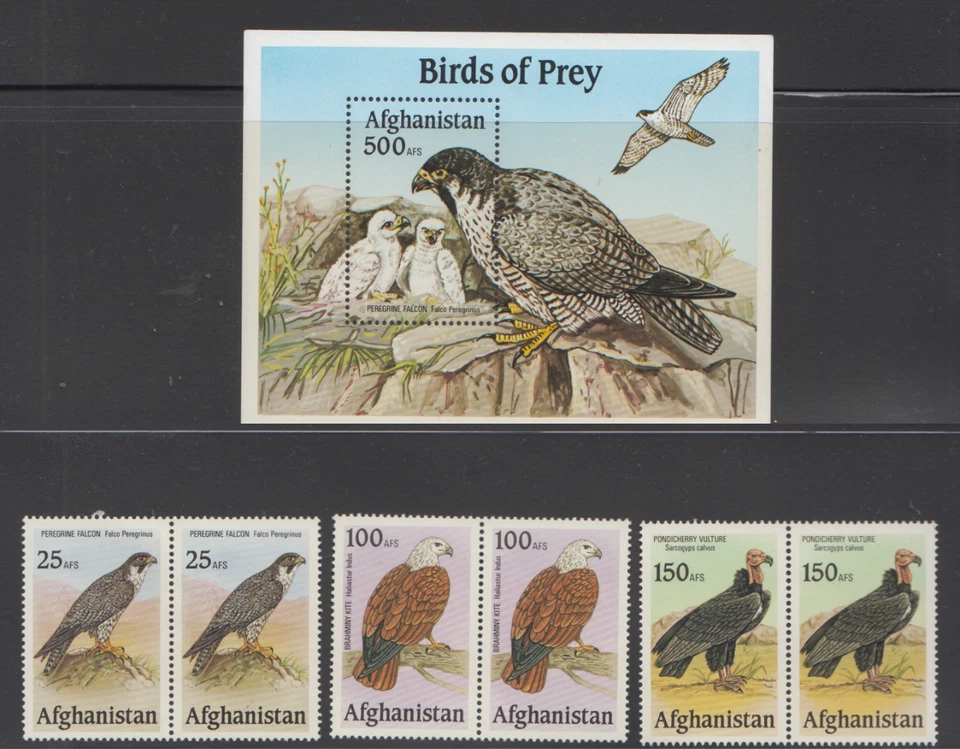 阿富汗 UNISSUED BIRDS OF PREY/FALCON/KITE/VULTURE STAMP PAIR/SS MNH TOP213 — 第 1/1 张图片