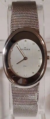 Skagen Denmark Steel Ladie's Watch,12 Stones Silver Dial. Foto 1 de 4