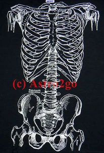 BONES-2 sided Skeleton Anatomy Biology Life Science Arwin Halloween Kids T shirt - Picture 1 of 4