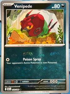 Venipede (Master Ball Pattern) 054/086 Sv: Black Bolt Holo - Picture 1 of 2