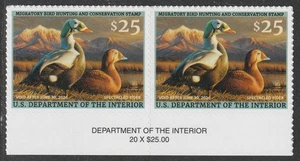 US RW92 Spectacled Eider $25 footer pair MNH 2025-2026 - Picture 1 of 1