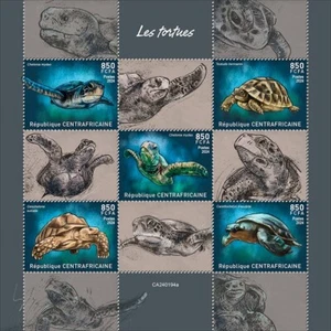 2025 05- CENTRAL AFRICAN - TURTLES 5V MNH ** T - Picture 1 of 1
