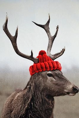 Kracht Geschirrtuch Küchentuch Trockentuch "Hirsch" Digitaldruck Baumwolle - Bild 1 von 4