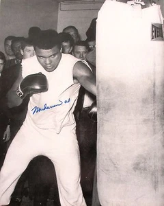 Muhammad Ali 8x10 Autographed Rare Photograph Cassius Clay Boxing Champion - Picture 1 of 4