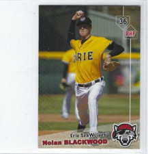 2019 Erie SeaWolves (Double A-Detroit Tigers) Nolan Blackwood