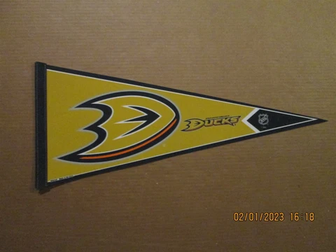 NHL Anaheim Ducks Vintage Circa 2000's Team Logo Hockey Pennant #3 Cover