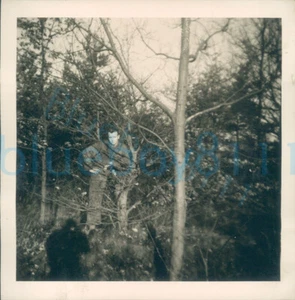 1950s Belgian Army Photo Soldier in new woodland 3.2x3.2" - Picture 1 of 2