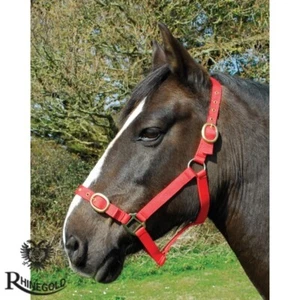 Nylon Headcollar & Lead Rope Set by Rhinegold RED PONY Fully Adjustable - Picture 1 of 8