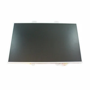 Optronics 15.4' Matte Screen Matte Screen 154EW04 V.9 REV:01 Used - Picture 1 of 2