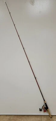 Caña de pescar Berkley Cherrywood HD Spinning Casting 6'/72" 1 pieza mediana pesada Foto 1 de 4