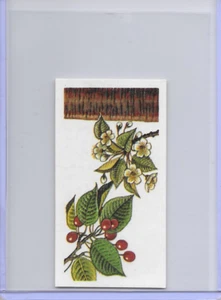 1966 Trees In Britain Gean Wild Cherry Rosaceae Brooke Bond Tea Card #22 - Picture 1 of 2