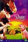 BABE DVD Children's Family Movie about a Pig on a Farm James Cromwell Magda DVD