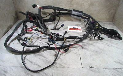 MAIN WIRING HARNESS *MODIFIED*, 2007 HARLEY DAVIDSON SOFTAIL FATBOY (OPS7101) — 第 1/4 张图片