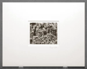 RYUIJIE 1998 PARED DE ROCA - FOTOGRAFÍA DE PLATINO OREGON 4X5 - HAZ UNA OFERTA - Imagen 1 de 2