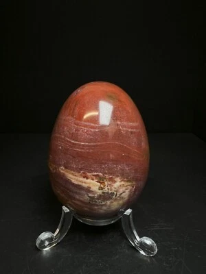 Polished Fossilized wood Egg From Madagascar- Easter Gift, Crystal Healing - Image 1 of 4