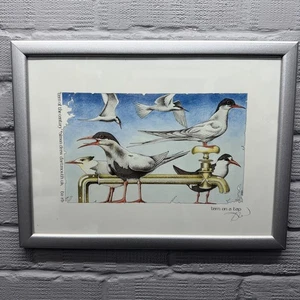 Simon Drew - Tern On The Tap signierter gerahmter Druck  - Bild 1 von 6