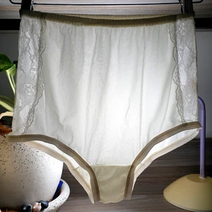 VTG Silky Nylon Panty Sheer White Sissy Lace Granny Brief Size P/S Hip 35-37" - Picture 1 of 24