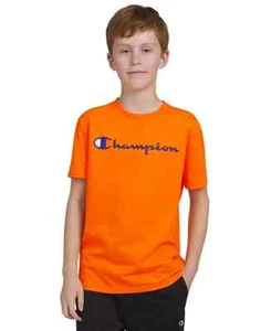 Champion Big Boys Classic Script Logo T-shirt Size Small - Picture 1 of 4