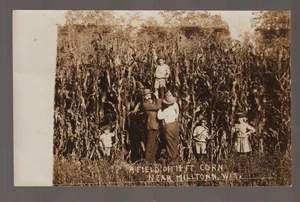 Milltown WISCONSIN RPPC 1909 GIANT CORN CROP Farm Farmer BOY ON SHOULDERS 14' - Picture 1 of 3