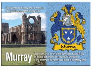Imán metálico de recuerdo de apellido familiar inglés Murray - Imagen 1 de 2