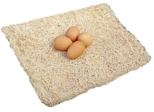 10 Pack Excelsior Poultry Nesting Pads 13"x13" Chicken Hens Nest Bedding