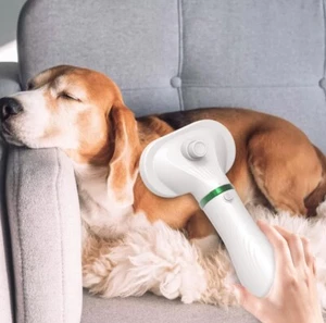 Pet Dog Cat Hair Dryer Blower Slicker Brush Grooming Low Noise Safe Fast Drying - Picture 1 of 7