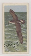 1963 Brooke Bond Wildlife in Danger Tea Cahow or Bermuda Petrel #25 0e3