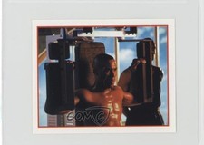 1996 Merlin Sky Sports Album Stickers Les Ferdinand #44