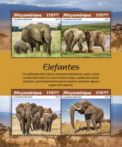 Mozambique 2019 MNH Wild Animals Stamps Elephants African Elephant 4v M/S - Picture 1 of 1