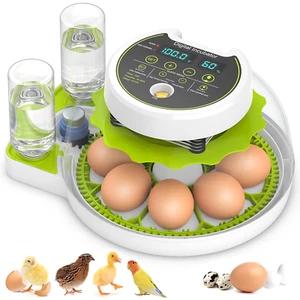 8 Eggs Incubator ,Automatic Egg Turning and Humidity Control, Chicken Incubators - Picture 1 of 12