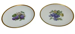 2 platos de ensalada Hutschenreuther Selb de colección Baviera Alemania Pasco ciruelas uvas - Imagen 1 de 7