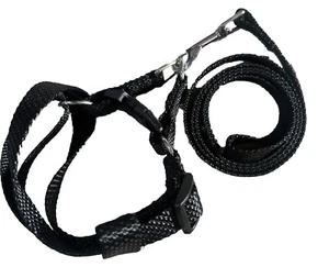 BROOKLYN PET GEAR 4 ft Dog Leash/Lead & Adjustable Pet Collar Set Sz Medium  - Picture 1 of 2