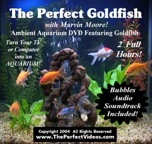 Virtual AQUARIUM DVD Fish Tank Video Real Goldfish with Bubbles Audio Soundtrack - Picture 1 of 1