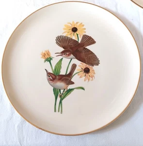 Plato de China Syracuse American Song Birds Menaboni Carolina Wren y BlackEye Susan - Imagen 1 de 2