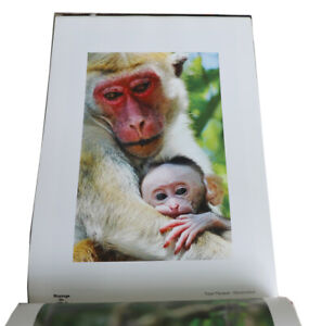  Livre de table basse de photographie animalière par un photographe sri-lankais.    