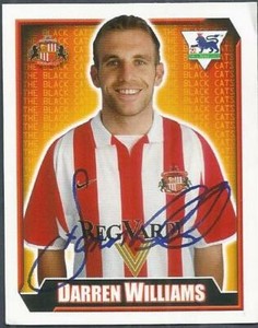 MERLIN 2003-FA PREMIER LEAGUE-10TH EDITION- #480-SUNDERLAND-DARREN WILLIAMS