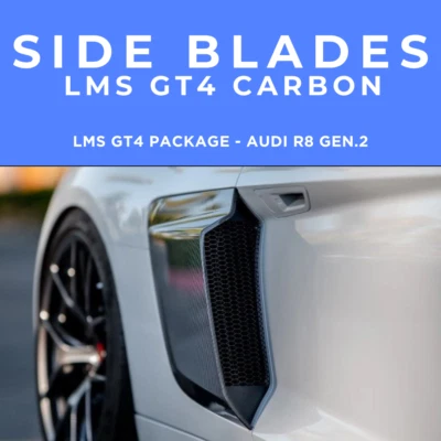 Hojas laterales de carbono LMS GT4 - Audi R8 Gen.2 Foto 1 de 4