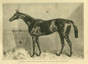 GLADIATEUR WINNER OF THE TWO THOUSAND DERBY ST. LEGER AND GRAND PRIX DE PARIS - Picture 1 of 1