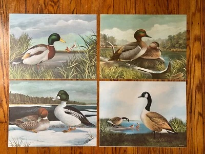 AJ Rudisill Mallard Ducks Geese Set of 4 Vintage NOS Litho Art Prints Mid Mod - Imagem 1 de 4