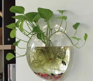 Clear Fish Tank Bowl Wall Mounted Fish Aquarium Hanging Flower Vase Home Decor - Picture 1 of 1