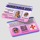 Assistance Dog Law Card with QR code AD19