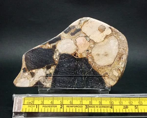 Beautifull Slice Sedimentary Conglomerate Polished Slab 227gr - Picture 1 of 6