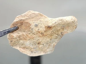 NWA 16520, Lunar (frag. breccia), 5,56 g, meteorito descontado, muestra enterrada - Imagen 1 de 10