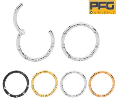 G23 Titanium Gem Hinged Hoop Nose Septum Tragus Segment Ring Earrings 8mm-10mm - image 1 of 4
