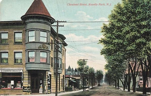 Roselle Park NJ Chestnut Street C. H. Horning Druggist Street View Postcard - Picture 1 of 2