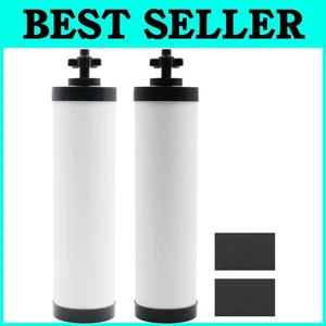 NSF Certified Ceramic Water Filters - 2 Pack, 0.1 Micron for Gravity Systems - Picture 1 of 8