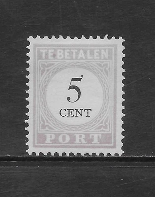 SURINAM SCOTT J2 MHNGAI EN ESTADO BASTANTE BUENO (A) - 1886 5c LILA FRANQUEO DEBIDO EMISIÓN Foto 1 de 2