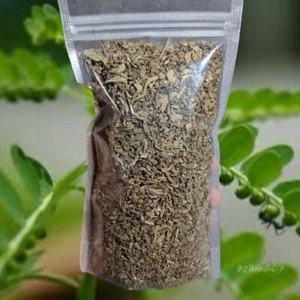 Erba rompipietre selvatiche - Phyllanthus Niruri - pianta intera essiccata 500 g - Foto 1 di 7